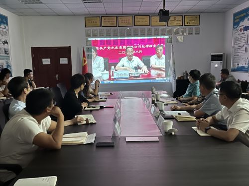 【河海水文】水發(fā)水控集團(tuán)黨委委員、紀(jì)委書記王高升到河海公司全面從嚴(yán)治黨、黨風(fēng)廉政建設(shè)專題調(diào)研 (1).jpg